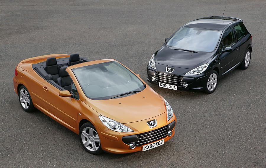  Peugeot 307 2005 года  (фото 22 из 25)